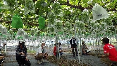 有漢町での現地訪問の様子