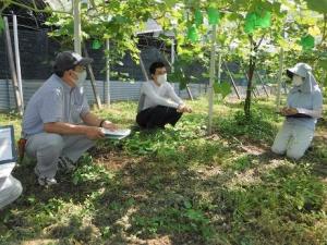 ぶどう新規就農者訪問の様子