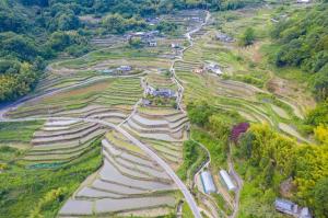 田土