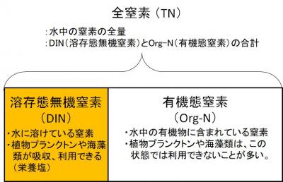 栄養塩とは?(無機態窒素、有機態窒素)
