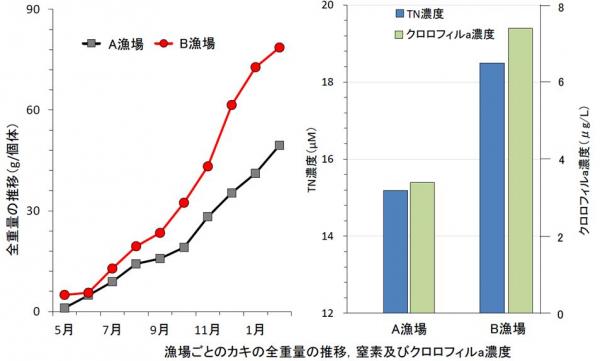 A漁場とＢ漁場のカキの比較グラフ