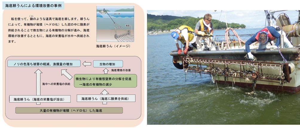 漁業者による海底耕うんの取組