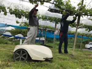 生産者の足元で働くロボット草刈機