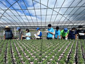 花壇苗の見学