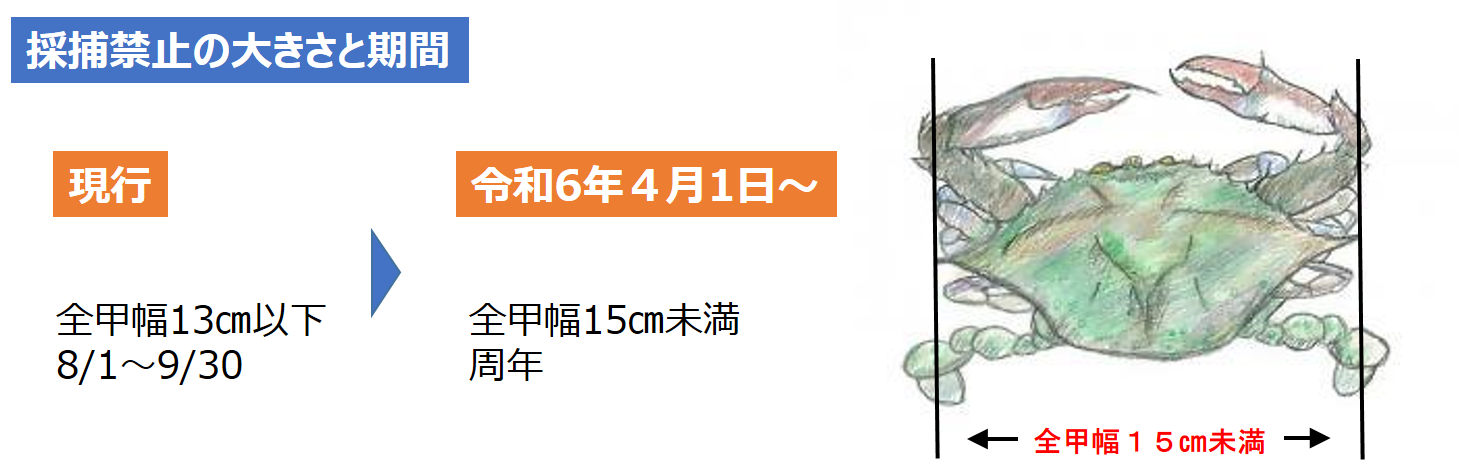 ガザミの採捕禁止に係る変更内容