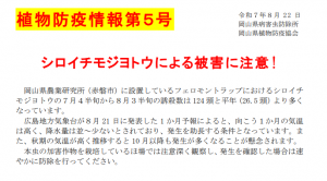 植物防疫情報第５号：シロイチモジヨトウの発生に注意してください