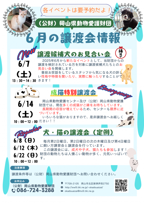6月の譲渡会情報