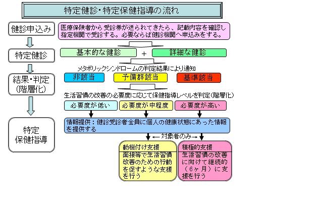 特定健診4