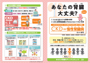 あなたの腎臓大丈夫?