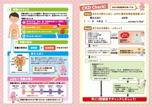 あなたの腎臓大丈夫？