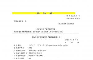 病害虫発生予察特殊報第１号