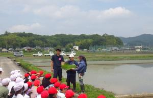 手植え作業の説明