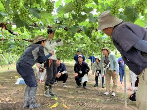 農業研究所職員の実技を熱心に見る若手生産者