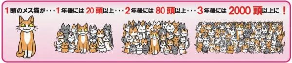 (環境省パンフレットより抜粋)