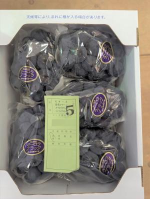出荷されたオーロラブラック