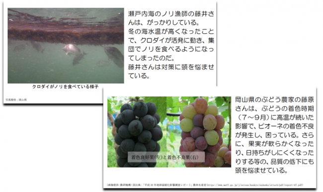 ミステリーカード