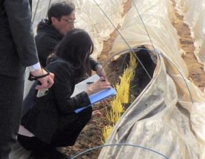 栽培ほ場でのヒアリングの様子