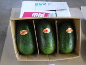 牛窓地域特産のとうがん