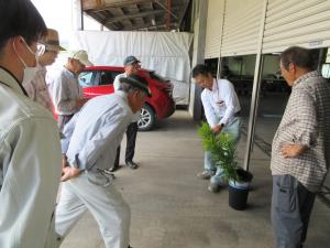 目合わせ会で収穫した花を見ながら収穫基準を再確認している写真