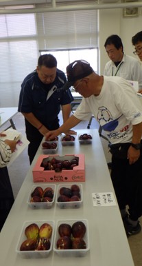 出荷前の目揃い会の様子