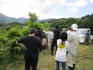 巡回ほ場のシキミを見る組合員