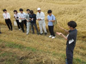 普及指導員の解説で実を取り出す参加者