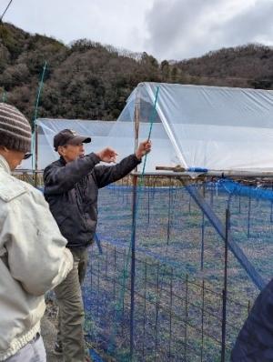 「くぐれんテグスちゃん」を設置する様子