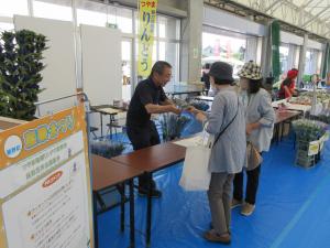 りんどうの無料配布によるPR