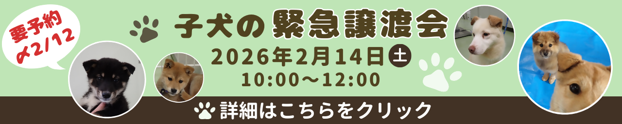 動物愛護センターの紹介写真です