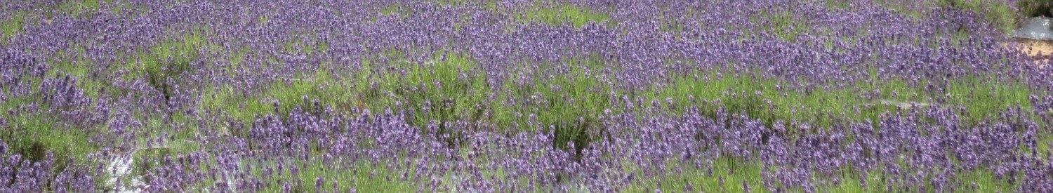 まきばの館のタイトル画像